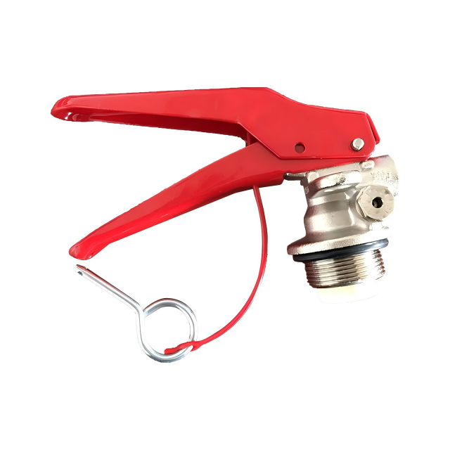 4 ~ 12 kg CE-Standard, hochwertiges Trockenpulver-Feuerlöschventil