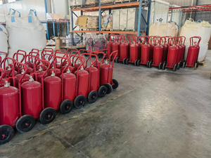 25 kg Trockenpulverlöscher